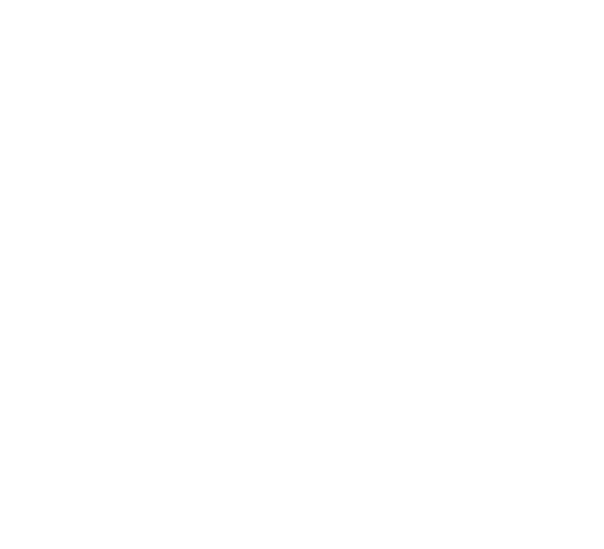 Ammattilaisten valitsema laitemerkki